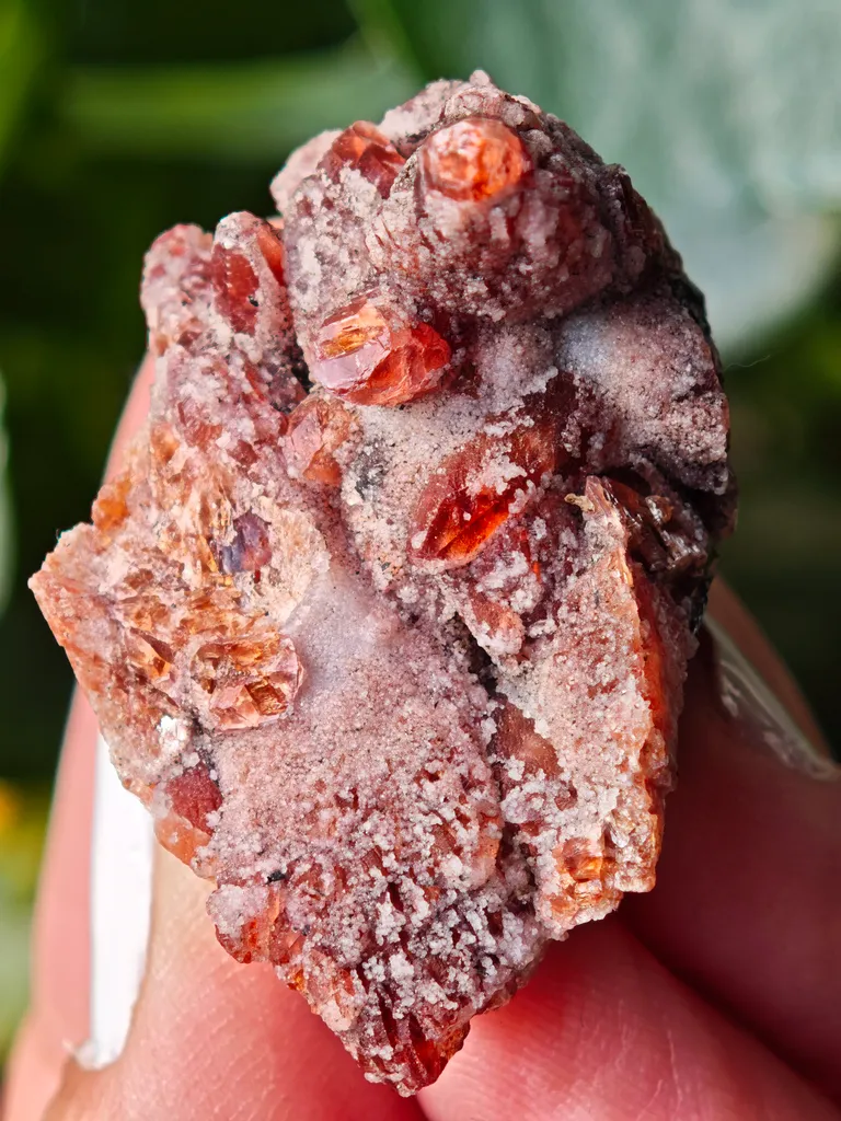 Rare Rhodochrosite from South africa N chwaning. This special collector's piece has contrast and aesthetic. - image 4
