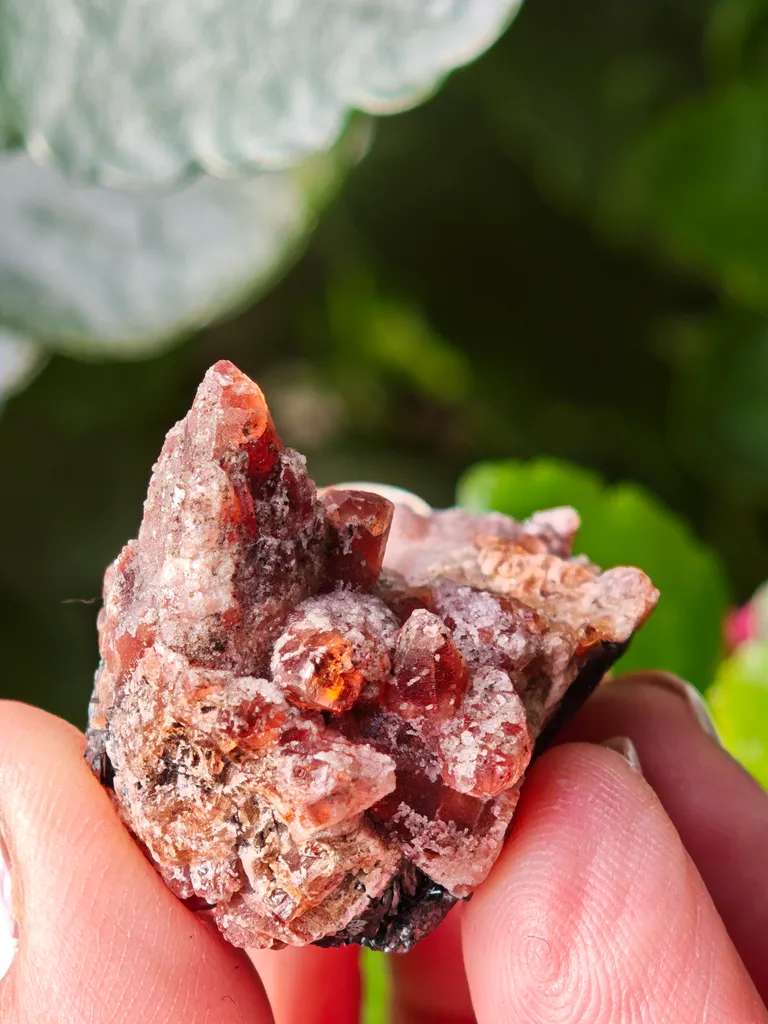 Rare Rhodochrosite from South africa N chwaning. This special collector's piece has contrast and aesthetic. - image 7