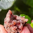 Rare Rhodochrosite from South africa N chwaning. This special collector's piece has contrast and aesthetic. - image 7