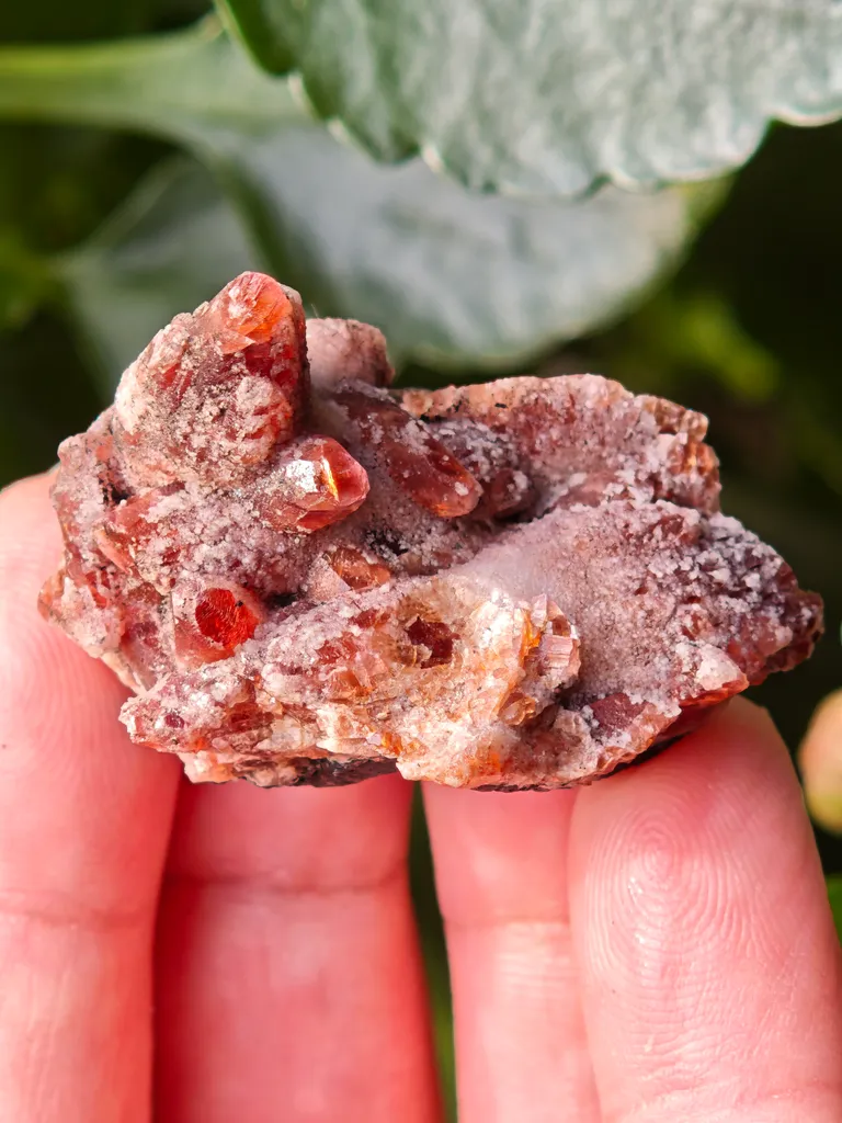 Rare Rhodochrosite from South africa N chwaning. This special collector's piece has contrast and aesthetic. - image 6