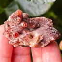 Rare Rhodochrosite from South africa N chwaning. This special collector's piece has contrast and aesthetic. - image 6