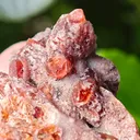 Rare Rhodochrosite from South africa N chwaning. This special collector's piece has contrast and aesthetic. - image 9