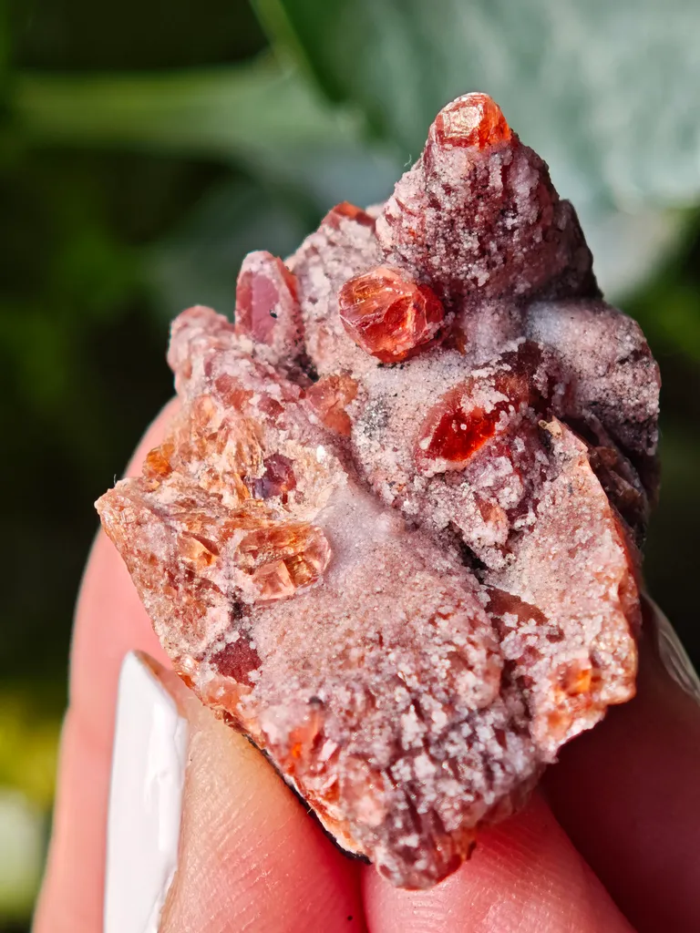 Rare Rhodochrosite from South africa N chwaning. This special collector's piece has contrast and aesthetic. image