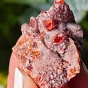Rare Rhodochrosite from South africa N chwaning. This special collector's piece has contrast and aesthetic. - image 1