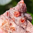 Rare Rhodochrosite from South africa N chwaning. This special collector's piece has contrast and aesthetic. - image 2