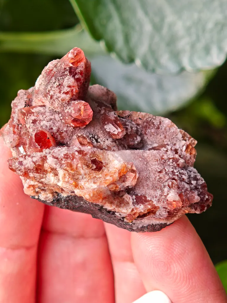 Rare Rhodochrosite from South africa N chwaning. This special collector's piece has contrast and aesthetic. - image 5