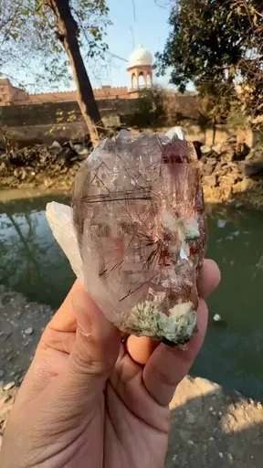 specimen video
