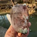 specimen video