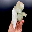 Rare Scolecite Spray with Green Apophyllite Crystals – Natural Indian Zeolite Specimen from Nashik, India DK150 - image 2