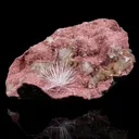 Rare Scolecite Spray with Green Apophyllite, Stilbite & Heulandite on Pink Matrix – Natural Indian Zeolite Specimen - image 1