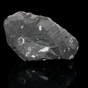 Rare Scolecite Spray with Green Apophyllite, Stilbite & Heulandite on Pink Matrix – Natural Indian Zeolite Specimen - image 5
