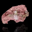 Rare Scolecite Spray with Green Apophyllite, Stilbite & Heulandite on Pink Matrix – Natural Indian Zeolite Specimen - image 3