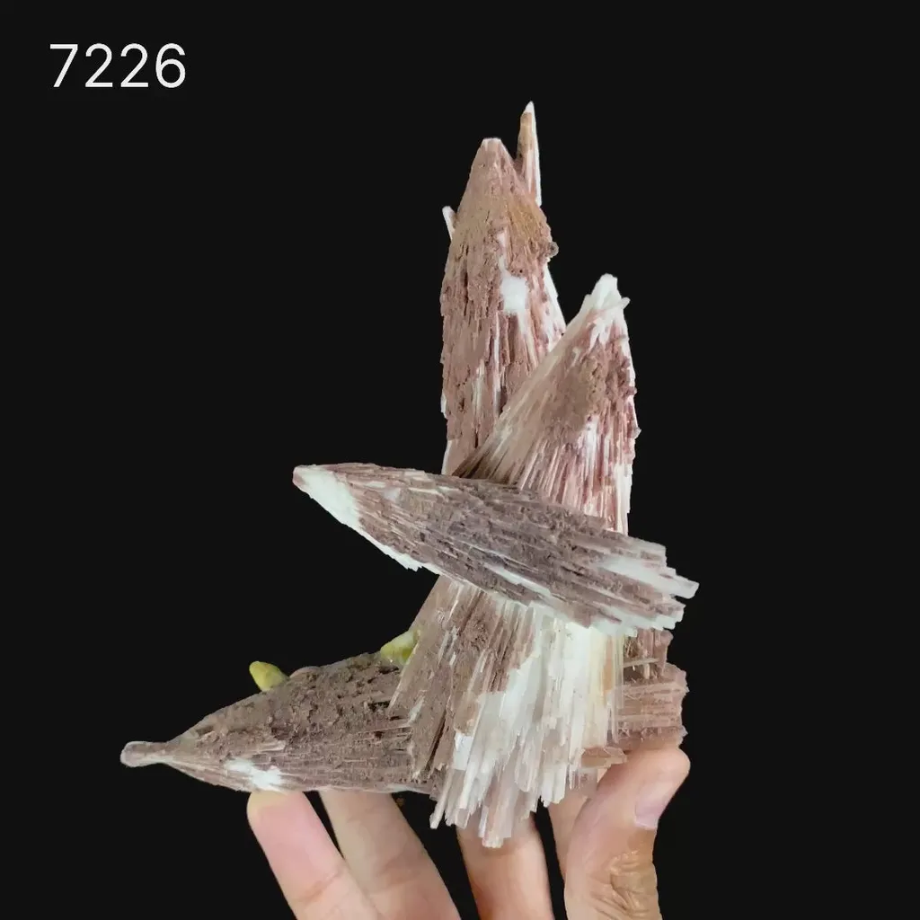 Rare Scolecite Spray with Red Hematite Inclusions & Calcite Crystals – Magnificent Indian Zeolite Mineral Specimen from Nashik - image 7