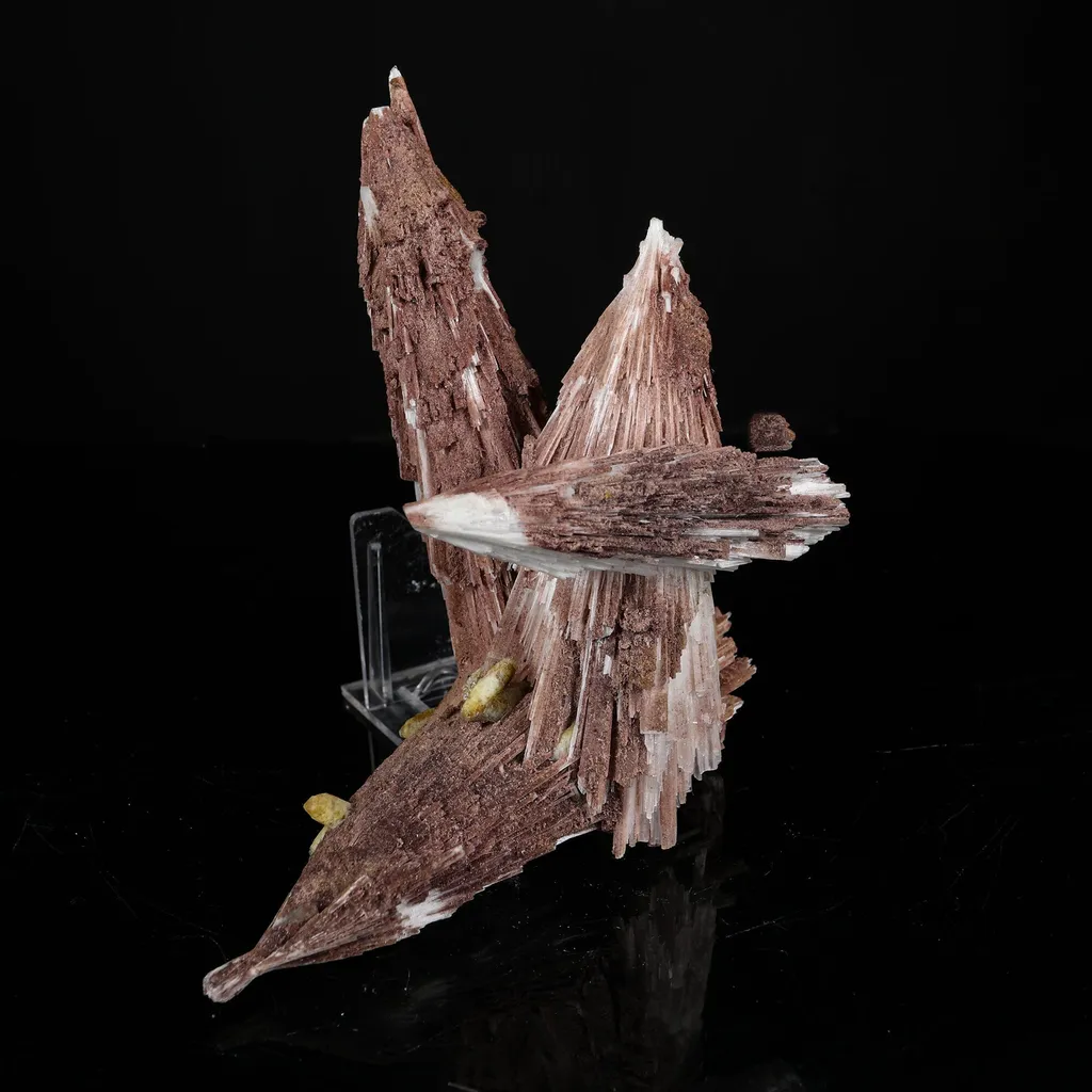 Rare Scolecite Spray with Red Hematite Inclusions & Calcite Crystals – Magnificent Indian Zeolite Mineral Specimen from Nashik - image 4