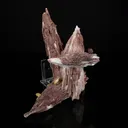 Rare Scolecite Spray with Red Hematite Inclusions & Calcite Crystals – Magnificent Indian Zeolite Mineral Specimen from Nashik - image 4
