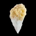 Rare Scolecite with  Stilbite bow tie Specimen from Nashik, India - image 3