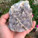 specimen video