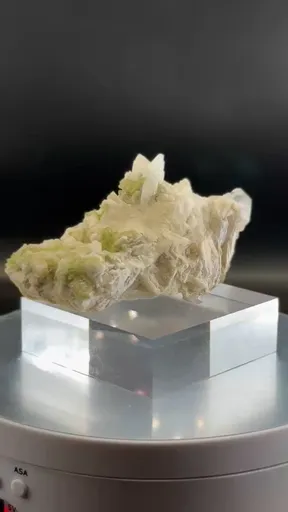 specimen video