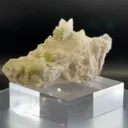 specimen video