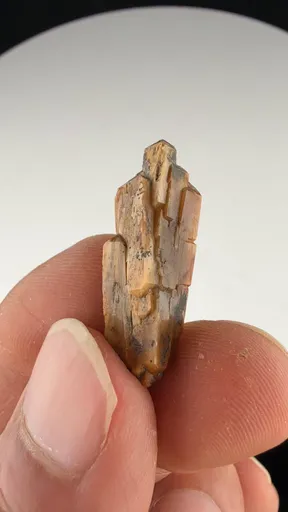 specimen video