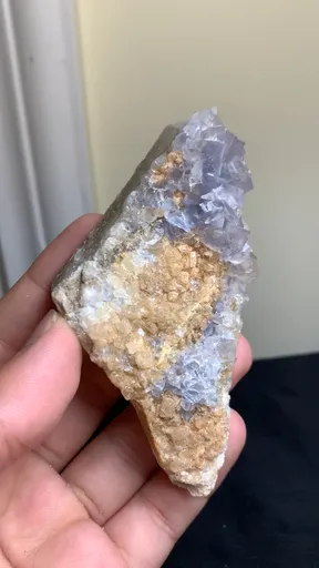 specimen video