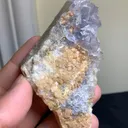 specimen video