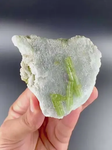 specimen video