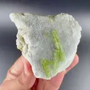 specimen video