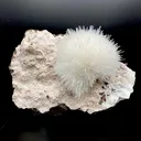 Rare White Mesolite on Mordenite – Porcupine Spray Zeolite Specimen from India - image 1