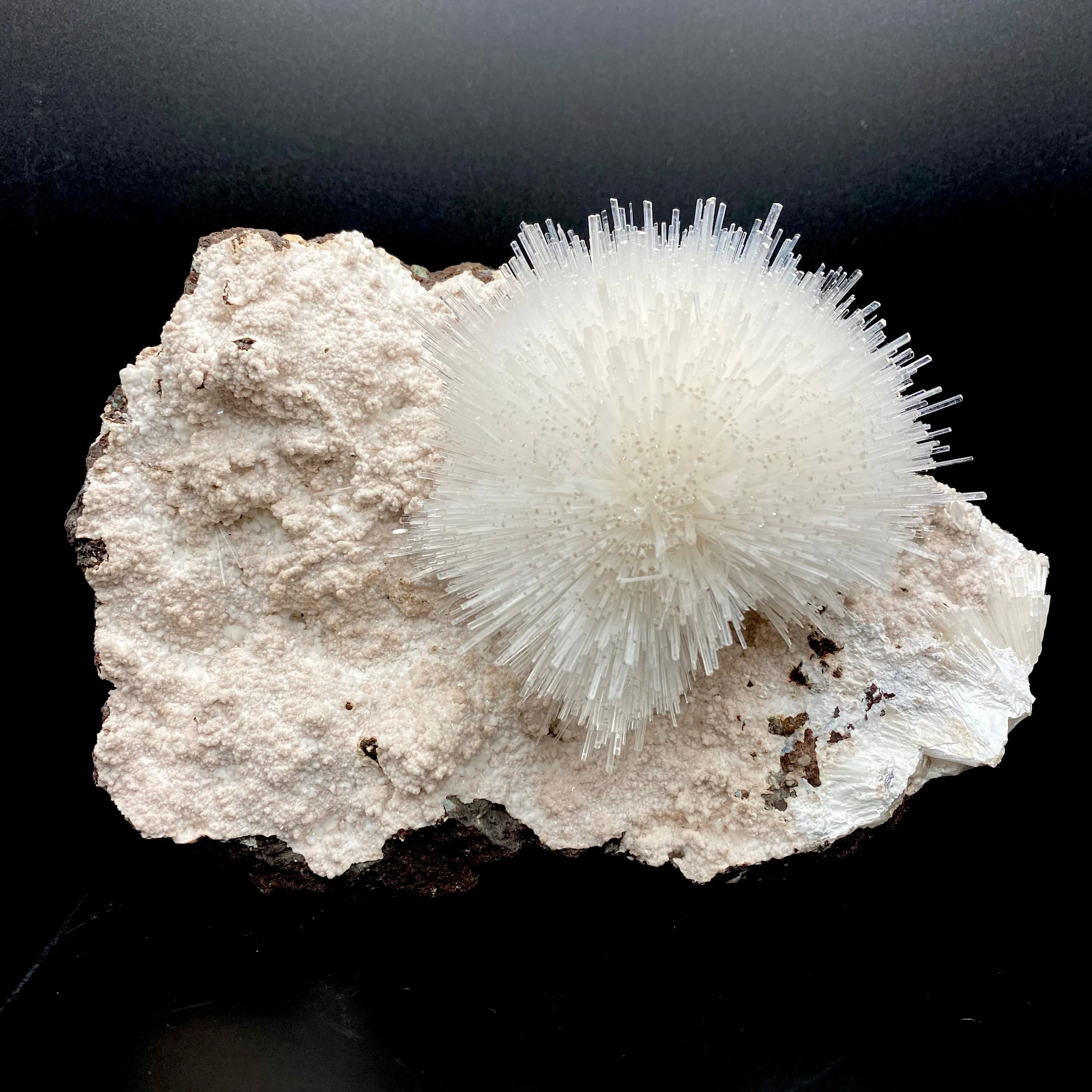 Rare White Mesolite on Mordenite – Porcupine Spray Zeolite Specimen from India - image 1