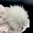 Rare White Mesolite on Mordenite – Porcupine Spray Zeolite Specimen from India - image 3
