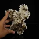 Rare Yellow Stellerite Floater Crystal Specimen – Unique 180-Degree Spherical Rosette Cluster - image 5