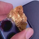 specimen video