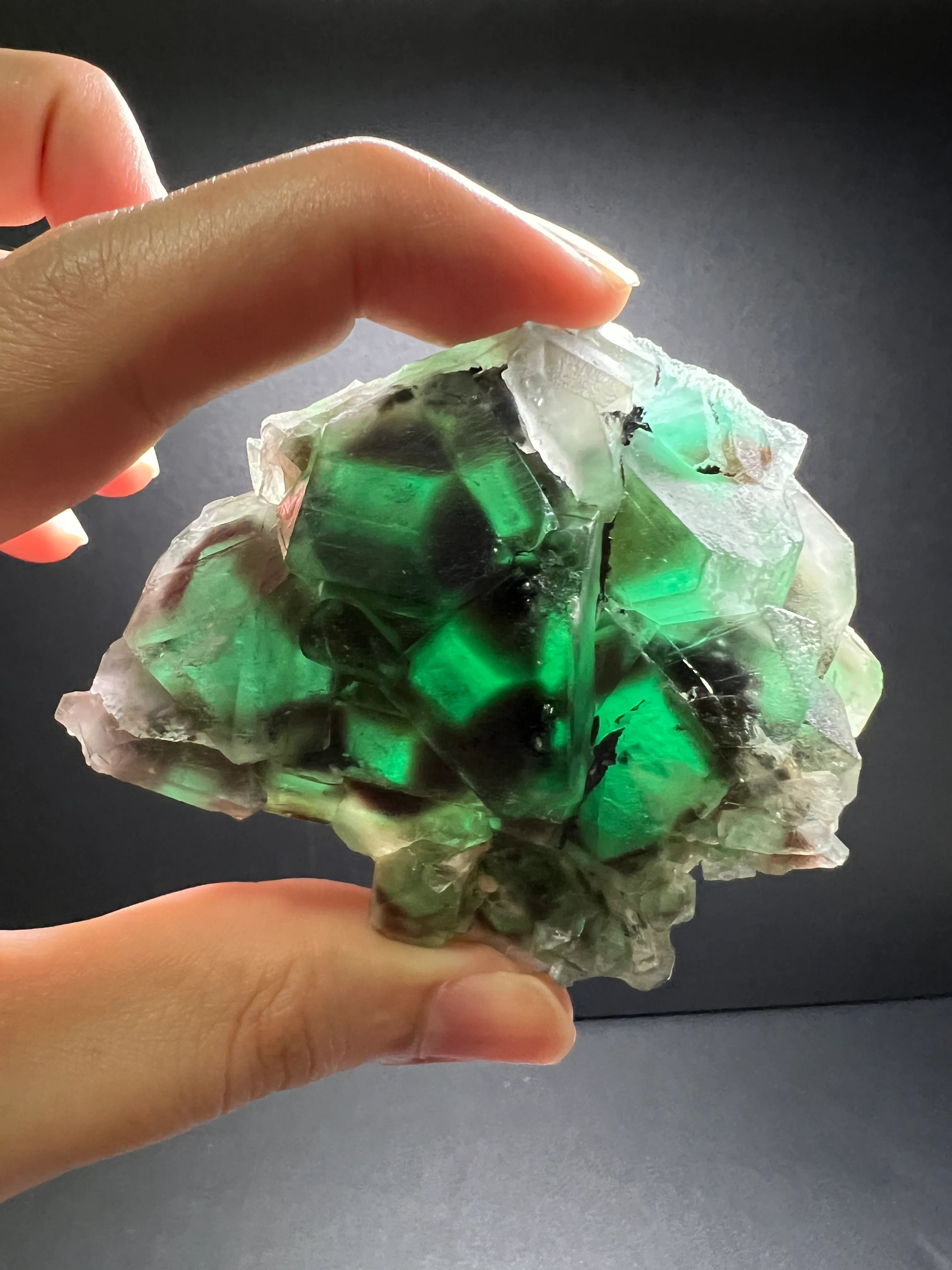 【RARE】2007 “Alien Eye” Fluorite - image 6
