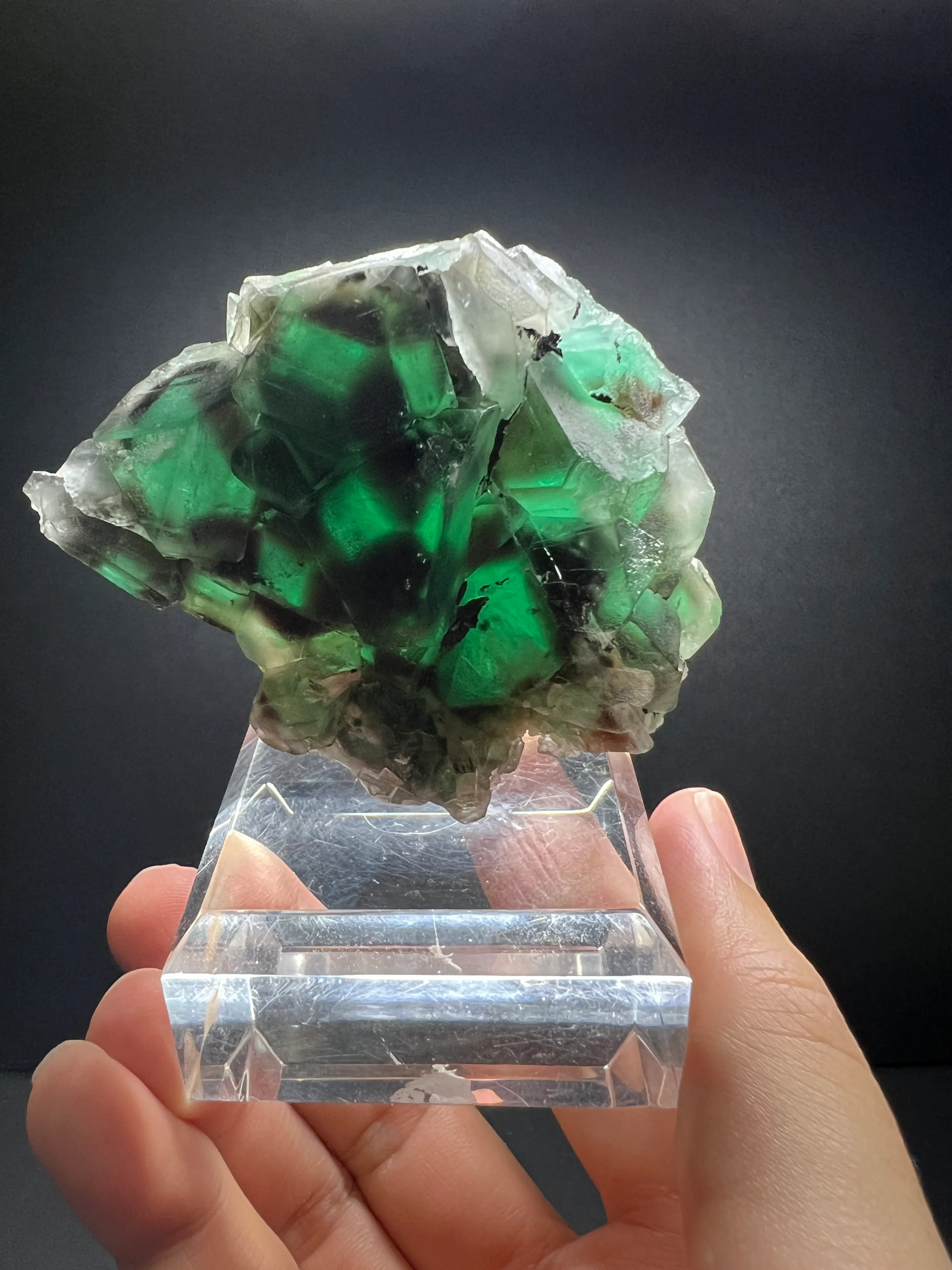 【RARE】2007 “Alien Eye” Fluorite - image 2