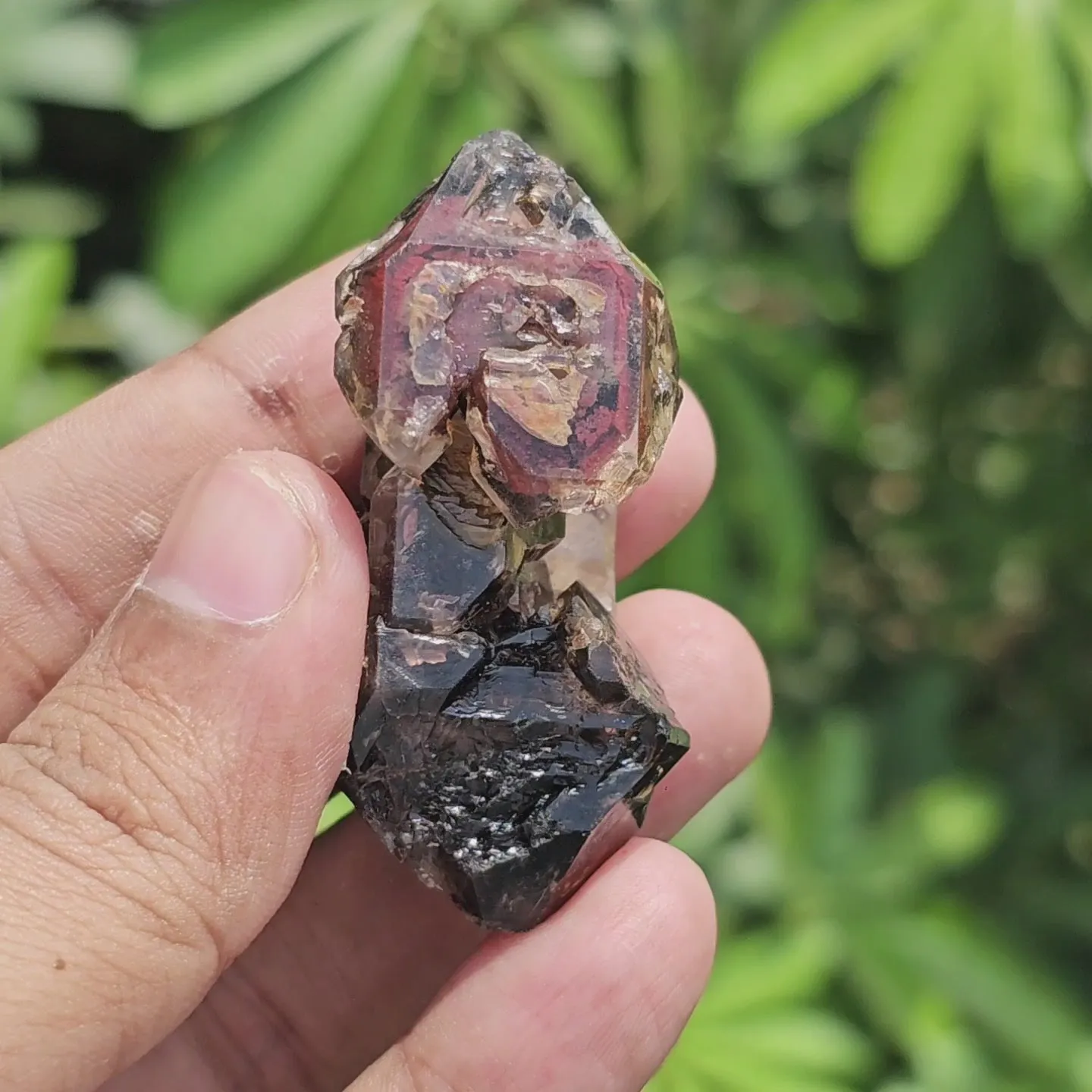 Rarest Dual Sceptre Quartz with Amethyst Phantom & Hematite Inclusions - image 11