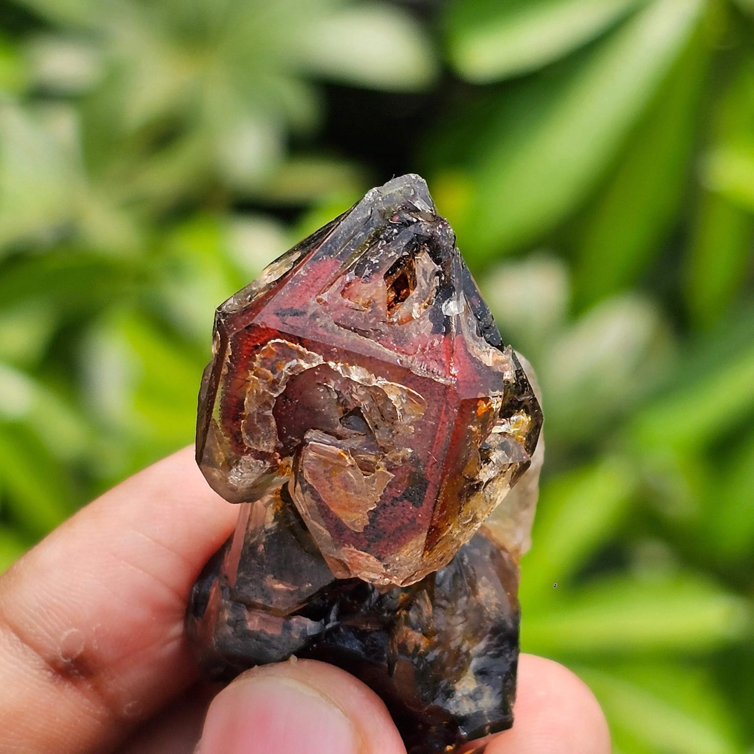 Rarest Dual Sceptre Quartz with Amethyst Phantom & Hematite Inclusions - image 5