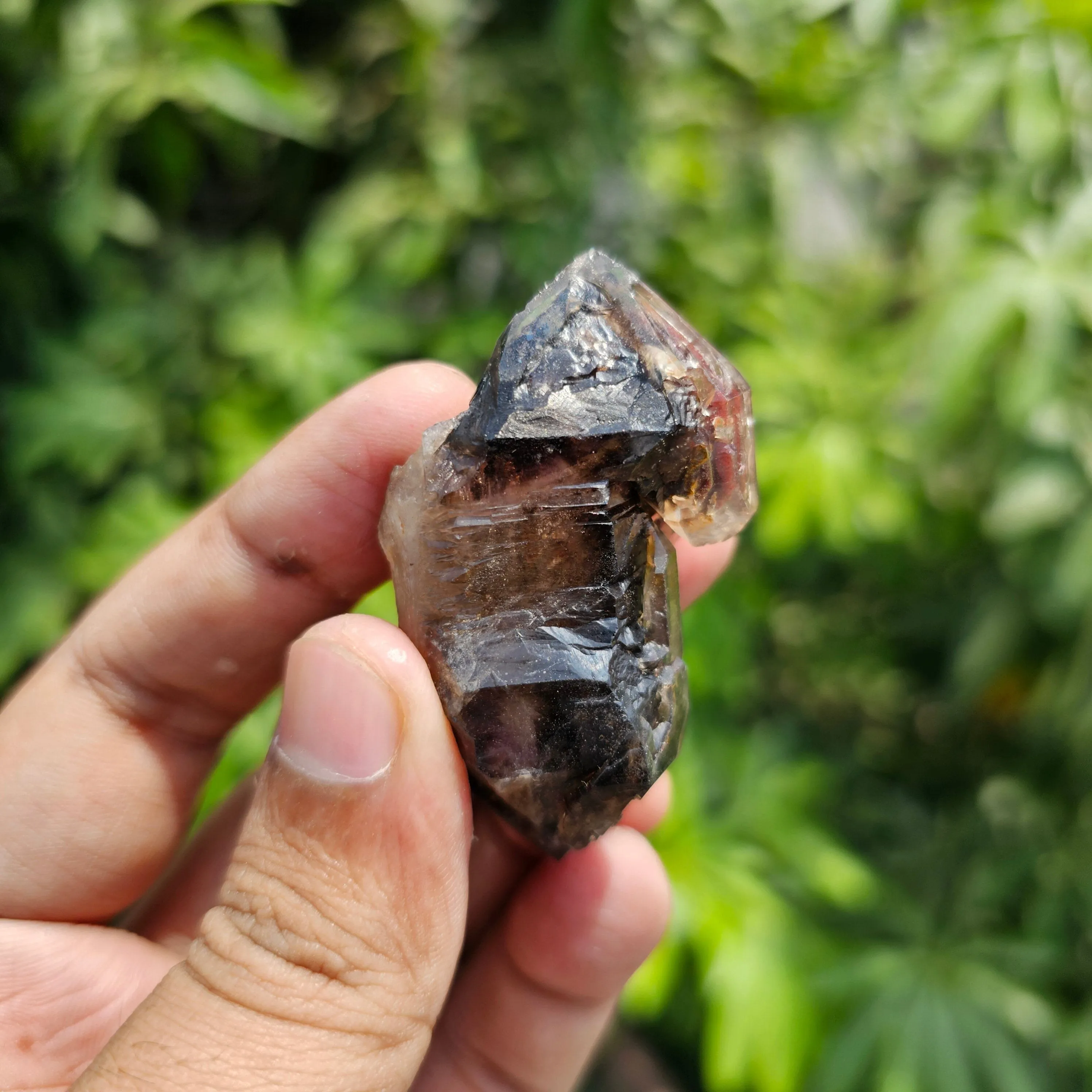 Rarest Dual Sceptre Quartz with Amethyst Phantom & Hematite Inclusions - image 8