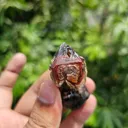 Rarest Dual Sceptre Quartz with Amethyst Phantom & Hematite Inclusions - image 4