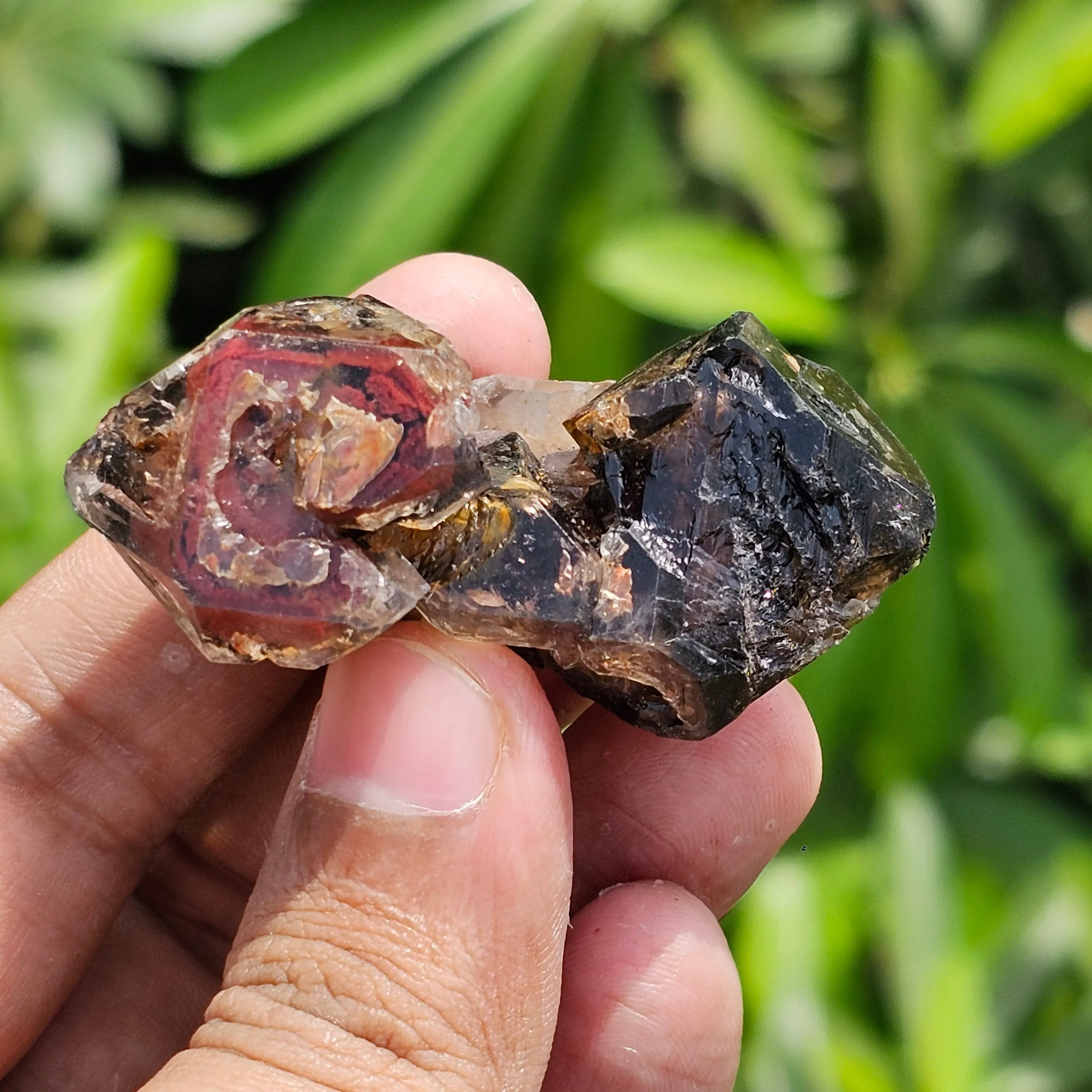 Rarest Dual Sceptre Quartz with Amethyst Phantom & Hematite Inclusions - image 3