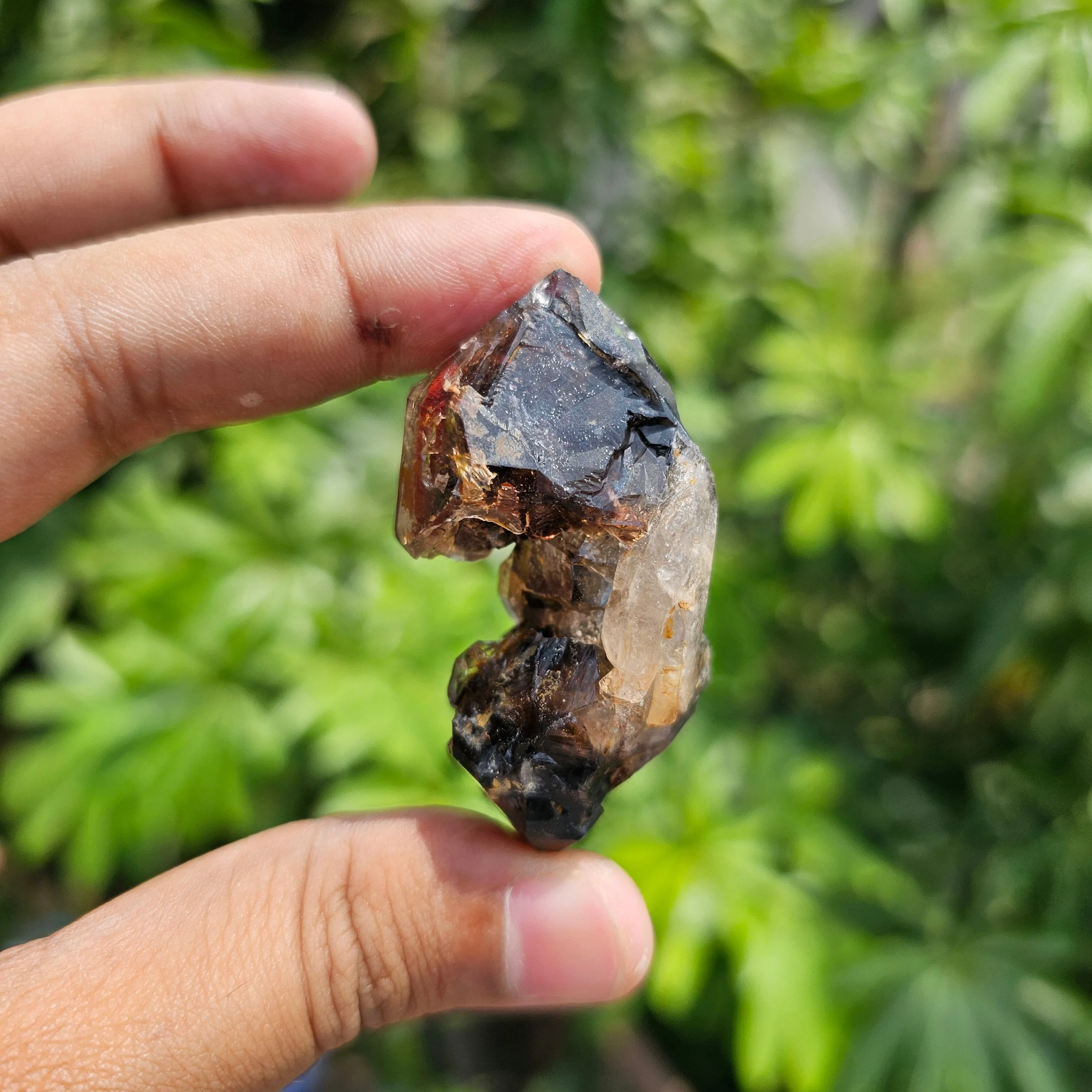 Rarest Dual Sceptre Quartz with Amethyst Phantom & Hematite Inclusions - image 9