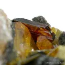 Raspite and Stolzite - image 3