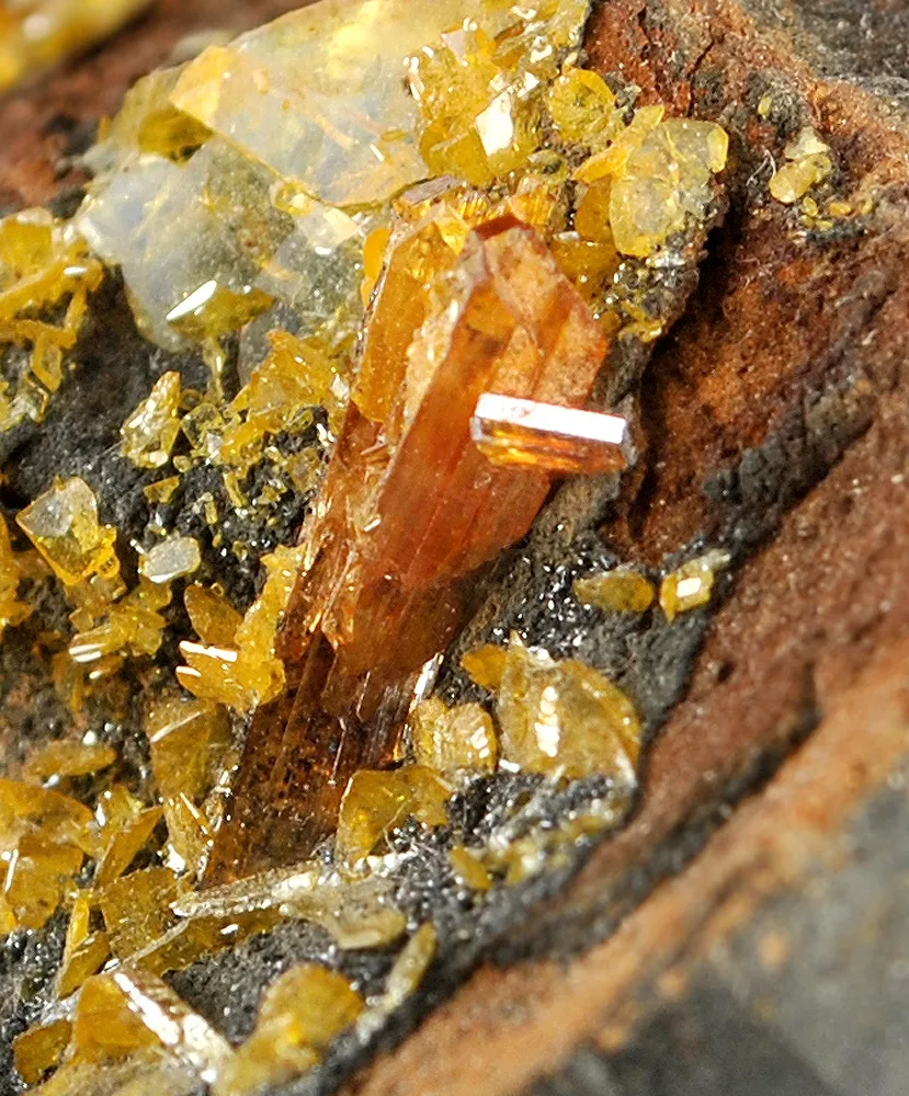 Raspite With Stolzite (Type Locality) - image 4