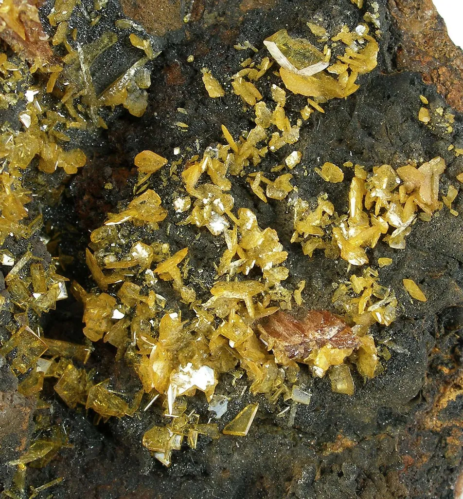 Raspite With Stolzite (Type Locality) - image 2