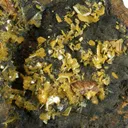Raspite With Stolzite (Type Locality) - image 2