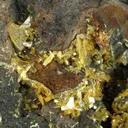 Raspite With Stolzite (Type Locality) - image 3