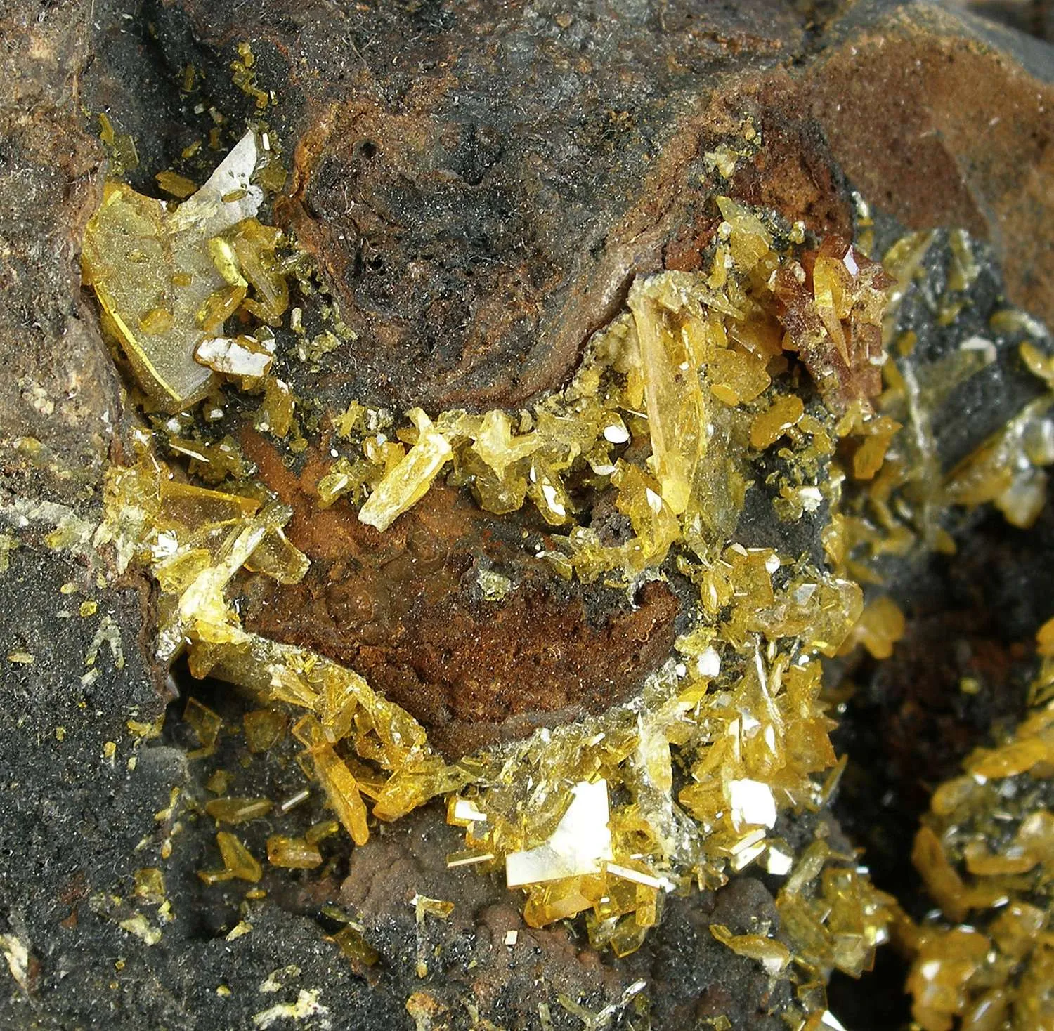 Raspite With Stolzite (Type Locality) - image 3