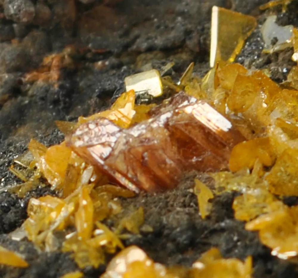 Raspite With Stolzite (Type Locality) - image 5