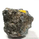 Rasvumite (Huge Xl) - image 1