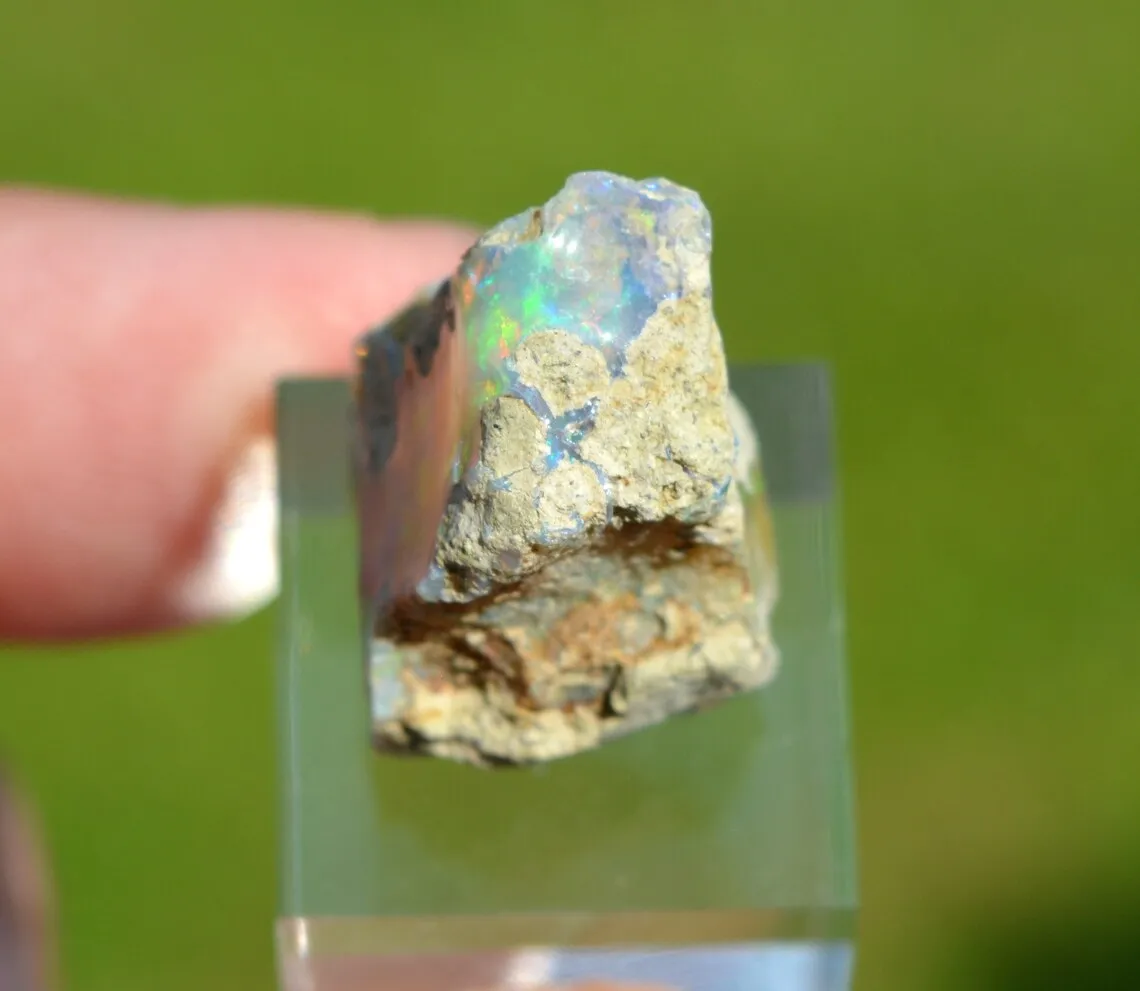Raw opal - 17.2 carats - South Wollo Zone, Amhara Region, Ethiopia - image 7